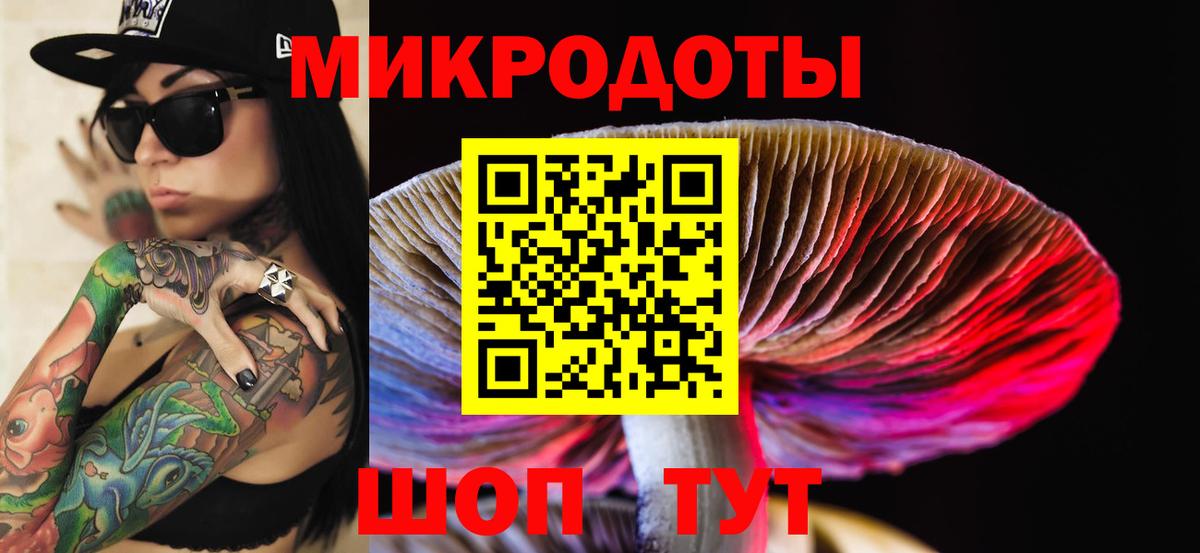 Галлюциногенные грибы Cubensis  Псилоцибиновые грибы GOLDEN TEACHER  Сарапул  Вход с VPN 